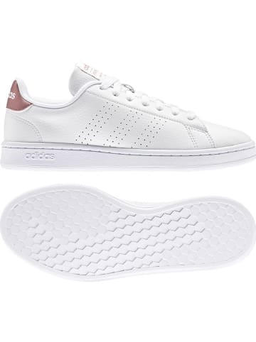 adidas Sneakersy "Advantage" w kolorze białym