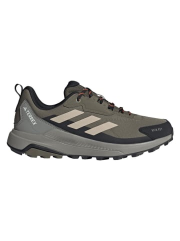 adidas Wanderschuhe "Terrex Anylander" in Khaki