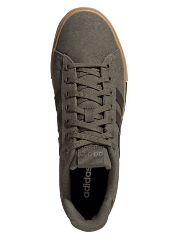 adidas Sneakersy "Daily 4.0" w kolorze khaki