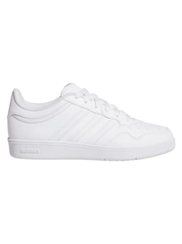 adidas Sneakersy "Hoops 4.0" w kolorze białym