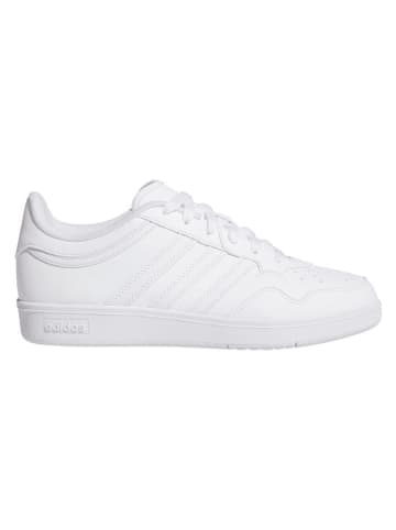 adidas Sneakers "Hoops 4.0" wit