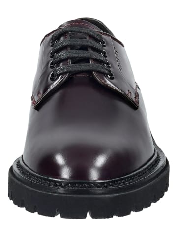 GANT Footwear Skórzane trzewiki "Ivyhill" w kolorze bordowym