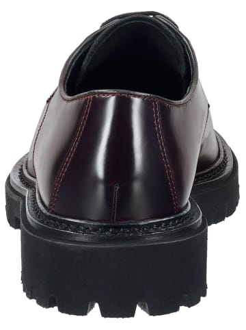 GANT Footwear Leder-Schnürschuhe "Ivyhill" in Bordeaux