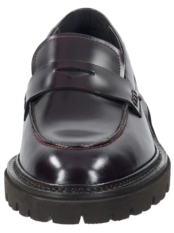 GANT Footwear Leder-Schnürschuhe "Ivyhill" in Bordeaux