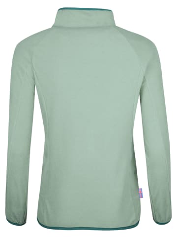 Westfjord Fleecejacke "Reynisfjara" in Mint