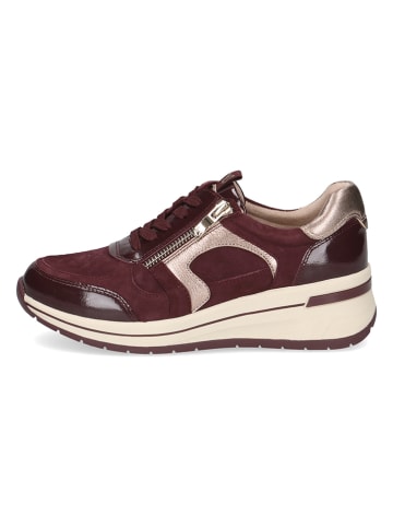 Caprice Leder-Sneakers in Bordeaux