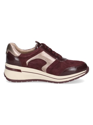 Caprice Leren sneakers bordeaux