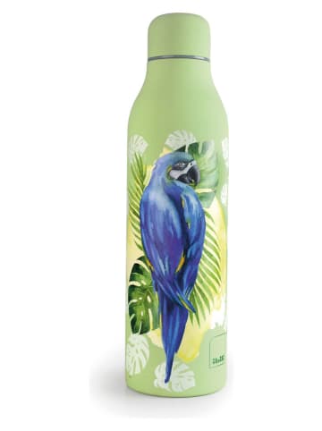 Ibili Isoleerfles "Papagayo" groen/blauw - 500 ml