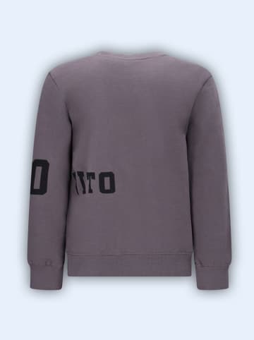 Tygo & Vito Sweatshirt "Siebe" grijs