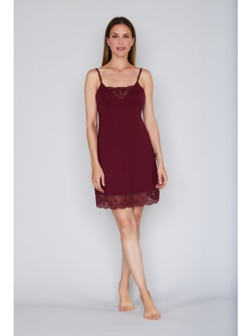 JOOP! Negligé in Bordeaux