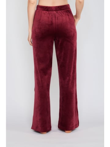 JOOP! Pyjama-Hose in Bordeaux