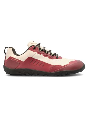 Groundies Buty "All Terrain 2.0" w kolorze czerwono-kremowym do chodzenia na boso