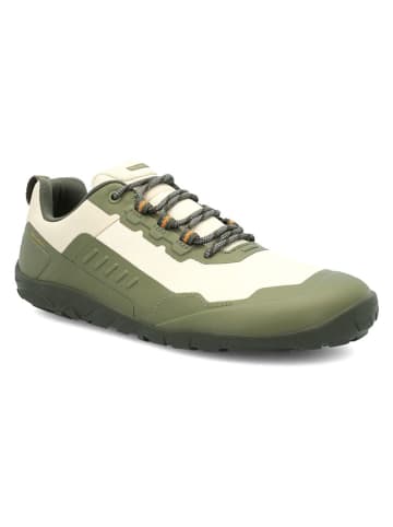 Groundies Buty "All Terrain 2.0" w kolorze zielono-kremowym do chodzenia na boso
