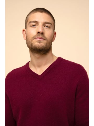 Just Cashmere Kaszmirowy sweter "Nathan" w kolorze bordowym