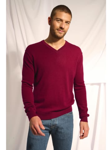 Just Cashmere Kaschmir-Pullover "Tom" in Bordeaux