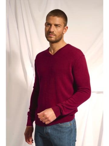 Just Cashmere Kaschmir-Pullover "Tom" in Bordeaux