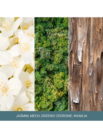 Yankee Candle Świeca zapachowa "Magical Bright Lights" - 368 g