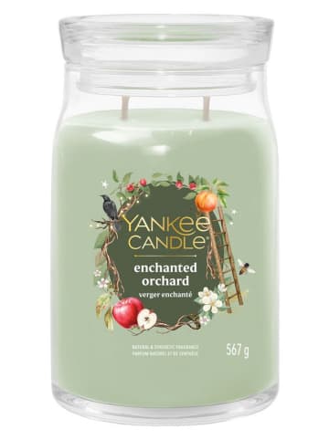 Yankee Candle Duftkerze ''Enchanted Orchard'' - 567 g