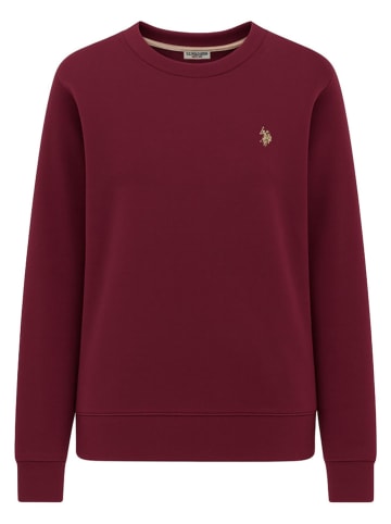 U.S. Polo Assn. Sweatshirt in Bordeaux