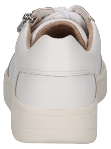 Caprice Leren sneakers wit