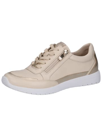 Caprice Leren sneakers beige/goudkleurig