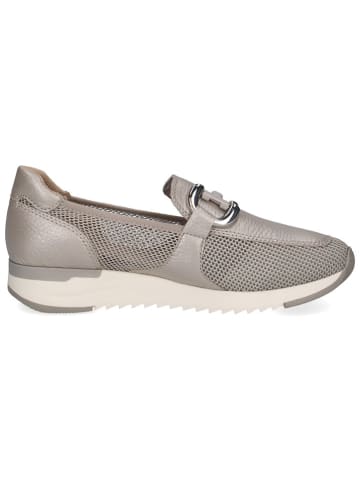 Caprice Leder-Slipper in Grau