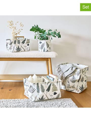 Zeller Kosze (2 szt.) w kolorze kremowo-zielonym - 28 x 16 x 21 cm