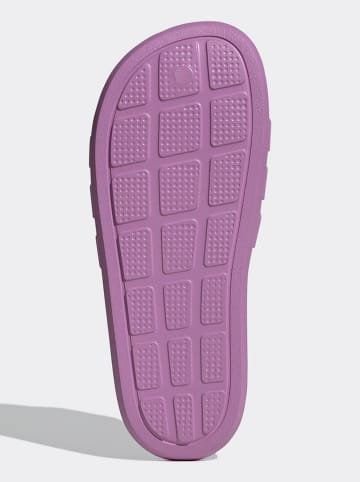 adidas Klapki w kolorze fioletowym