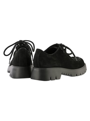 Högl Leder-Schnürschuhe in Schwarz
