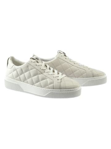 Högl Leder-Sneakers in Creme