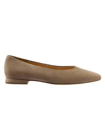 Högl Leder-Ballerinas "Alicia" in Taupe