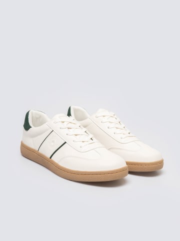 BIG STAR Sneakers in Creme