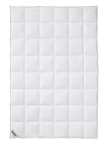 Fjödur Daunen-Kassettenstegdecke in Weiß