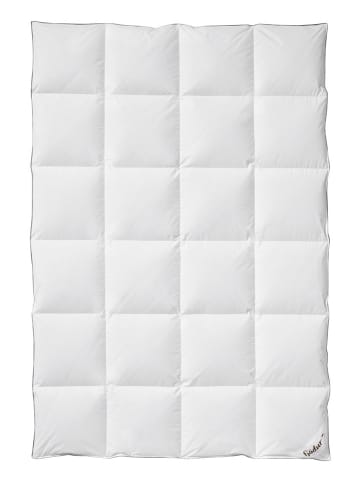 Fjödur Daunen-Kassettenstegdecke in Weiß