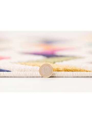 Flair Rugs Tapijt meerkleurig