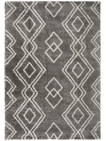 Flair Rugs Teppich in Hellgrau