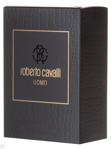 Roberto Cavalli Uomo, eau de toilette - 100 ml