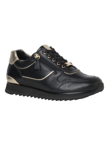 HASSIA Skórzane sneakersy "Porto" w kolorze czarno-złotym