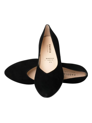 HASSIA Leder-Pumps "Ravenna" in Schwarz