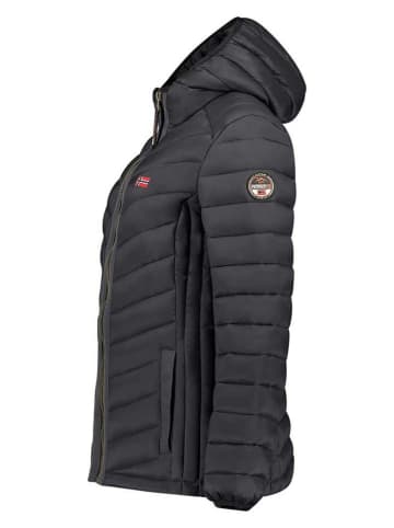 Geographical Norway Kurtka pikowana "Carliti" w kolorze czarnym