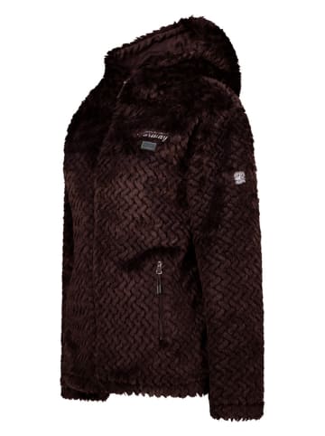 Geographical Norway Fleecejacke "Tredouce" in Braun
