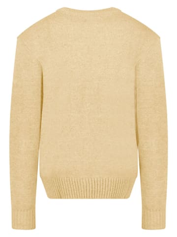 Geographical Norway Pullover "Flinder" in Gelb