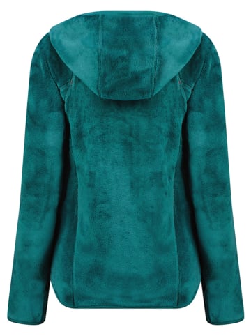 Geographical Norway Fleecejacke "Upalood" in Grün