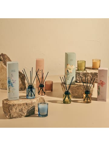 BELLA MAISON Raumduftdiffuser "Amberwood Trail" - 100 ml