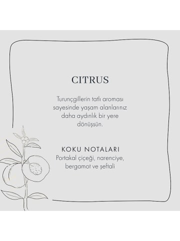 BELLA MAISON Dyfuzor zapachowy "Citrus" - 250 ml