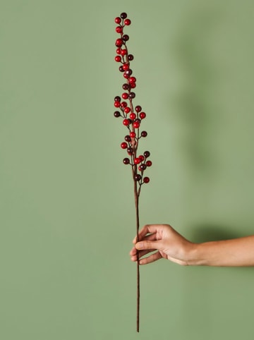 BELLA MAISON Kunstplant "Christmas Dal" rood - (H)75 cm
