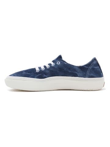 Vans Sneakers blauw