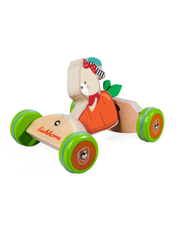 Eichhorn Schiebefahrzeug "EH" in Bunt - ab 12 Monaten
