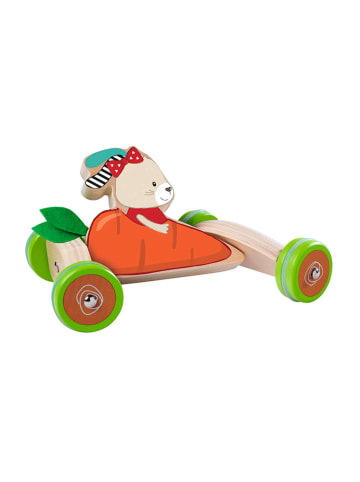 Eichhorn Duwvoertuig "EH" meerkleurig - vanaf 12 maanden