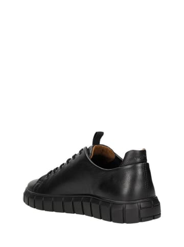 Wojas Leder-Sneakers in Schwarz
